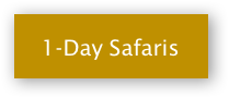 1-day-safaris