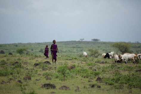 Maasai Children