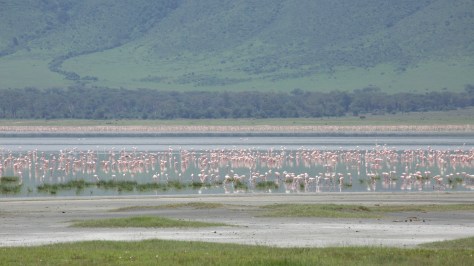 ngorongoro-conservation-area