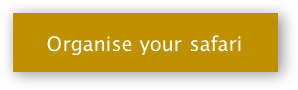 organise-your-safari